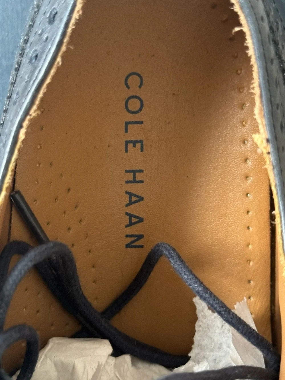 Cole Haan Navy Brogue Derby with Brown Stacked Sole
